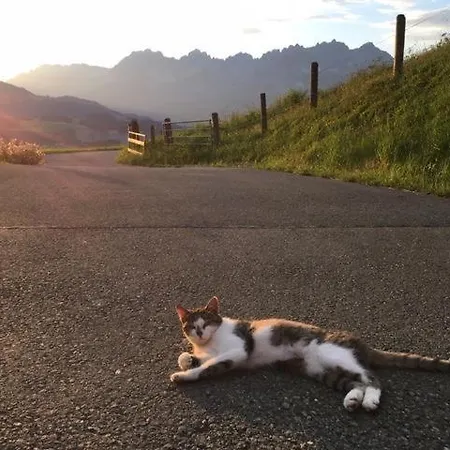Фермерский дом Bauernhof Sinnersberg Кицбюэль