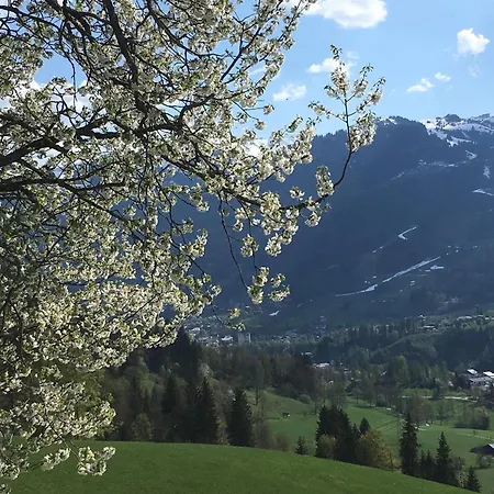 Alloggio per agriturismo Bauernhof Sinnersberg Kitzbühel