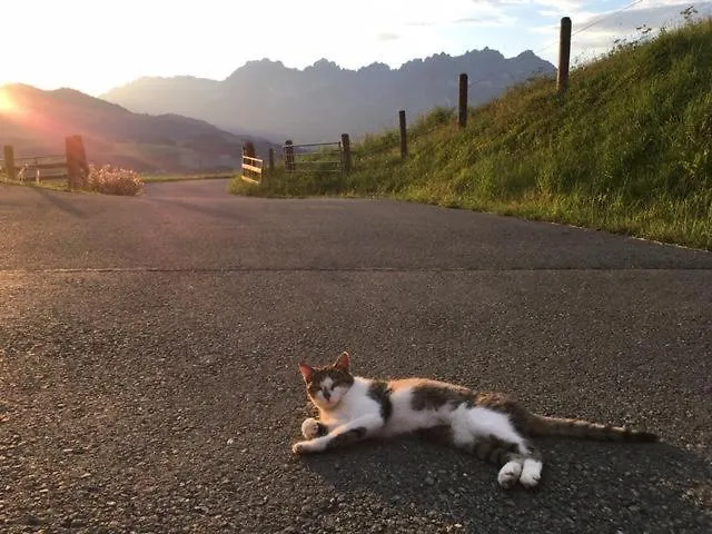 Farmház Bauernhof Sinnersberg Kitzbühel