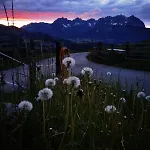 Bauernhof Bauernhof Sinnersberg Kitzbühel