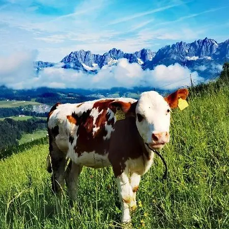 Bauernhof Sinnersberg * Kitzbuhel