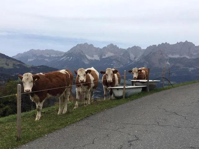 Alloggio per agriturismo Bauernhof Sinnersberg