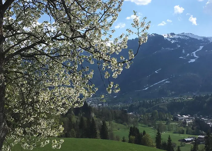 Alloggio per agriturismo Bauernhof Sinnersberg Kitzbühel