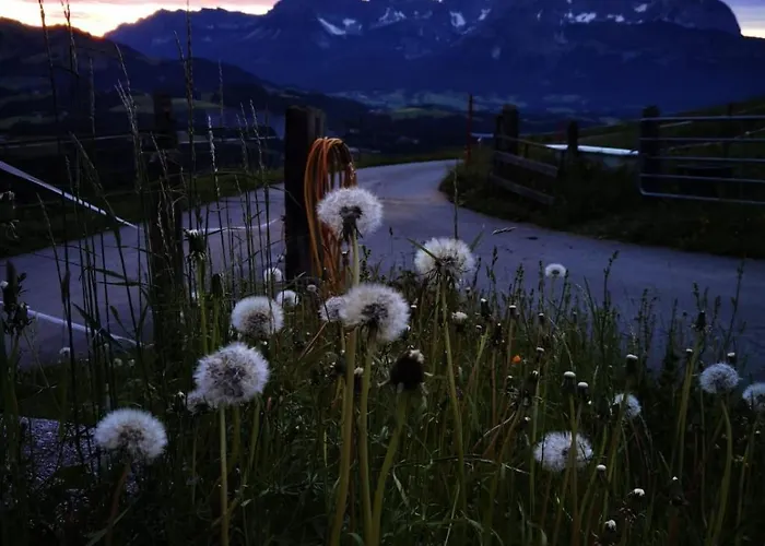 Farma Bauernhof Sinnersberg Kitzbühel
